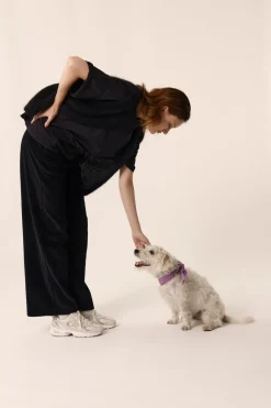 Des Petit Hauts Ensembles New|Pantalons & Combinaisons|Pantalon Sialito